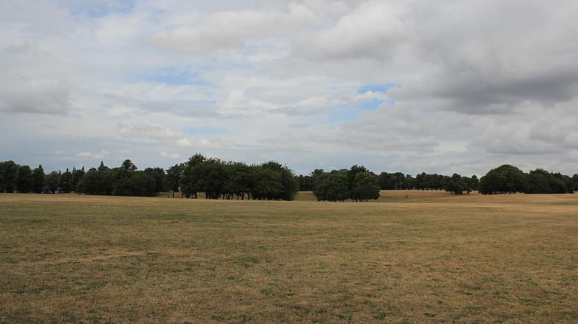  Autors: rolands 2 Bildes - The Racecourse Park (pēc 20 dienu karstuma)