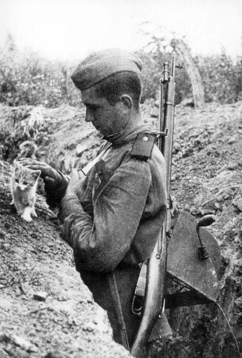 Karavīrs ar kaķēnuBilde... Autors: ĶerCiet 25 vēsturiski foto, kurus tu vēl nebūsi redzējis