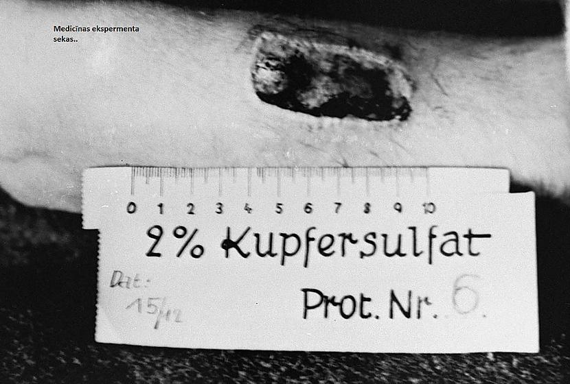 Vāciescaroni ne tikai... Autors: Altenzo Holokausts bildēs