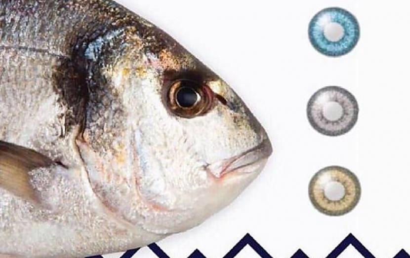 Scaronāda ziņa bija izlasāma... Autors: pyrathe Pārdevējs pielīmē zivīm plastmasas acis, lai apmānītu pircējus