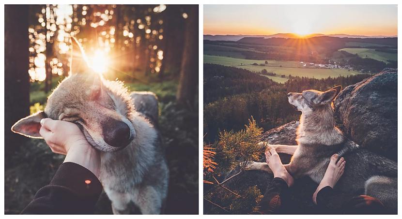  Autors: Latvian Revenger Šis fotogrāfs fotogrāfē savu suni, lai kur dotos, un fotogrāfijas ir lieliskas