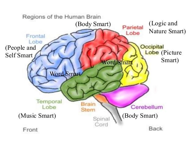 78 no smadzeņu masas veido... Autors: Fosilija 18+ fakti par cilvēka ķermeni