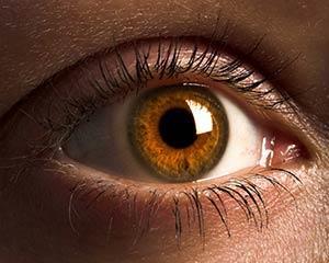 Cilvēka acs vidēji tiek... Autors: Fosilija 18+ fakti par cilvēka ķermeni