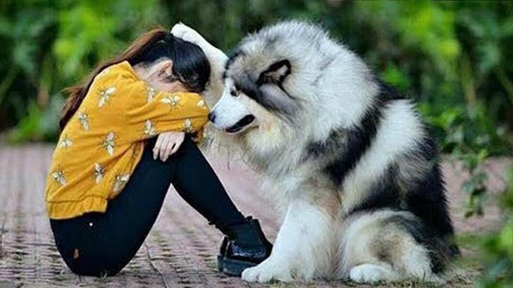 Suns tevi vienmēr atbalstīs... Autors: Latvian Revenger 25 iemesli, kāpēc suņi ir vislabākie draugi