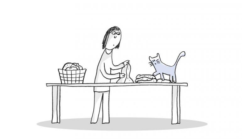 Apģērba mīkstuma noteikšanas... Autors: ĶerCiet 17 ļoti svarīgi kaķu dzīves pienākumi