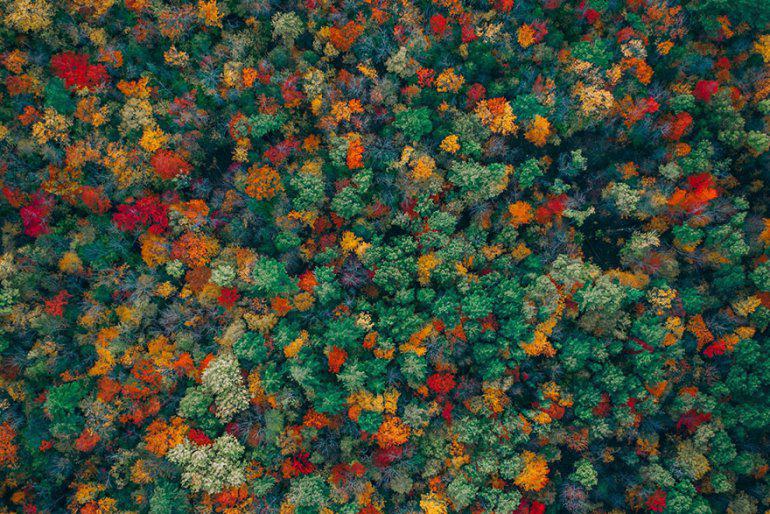 Rudens krāsas Autors: zeminem 20 labākās dronu fotogrāfijas no 2018. gada. Iespaidīgi kadri!
