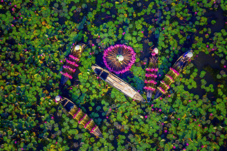 Ūdensrožu raža Autors: zeminem 20 labākās dronu fotogrāfijas no 2018. gada. Iespaidīgi kadri!
