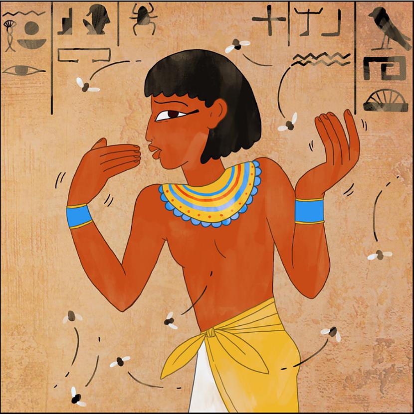 nbspKukaiņi nenovērscaronami... Autors: The Diāna 15 fakti par Seno Ēģipti, kurus tu, iespējams, nezināji