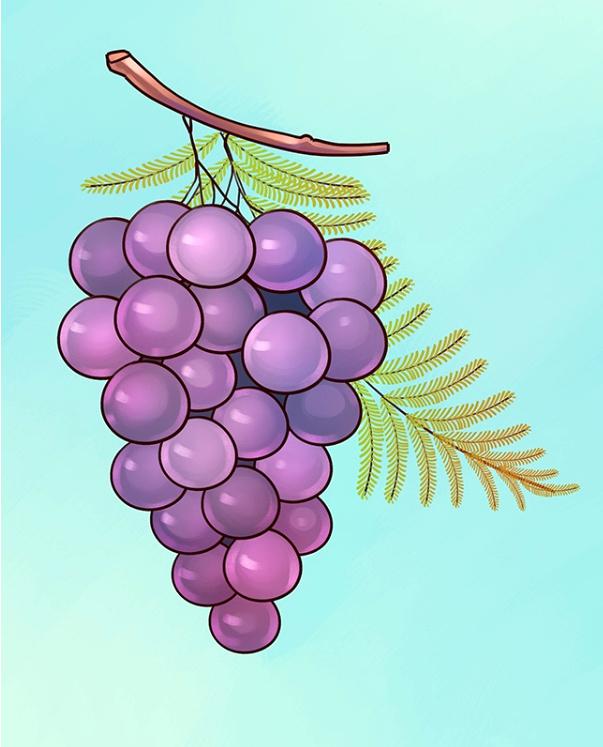 Kas zīmējumā vīnogām uzzīmēts... Autors: rasiks Padomā arī pats