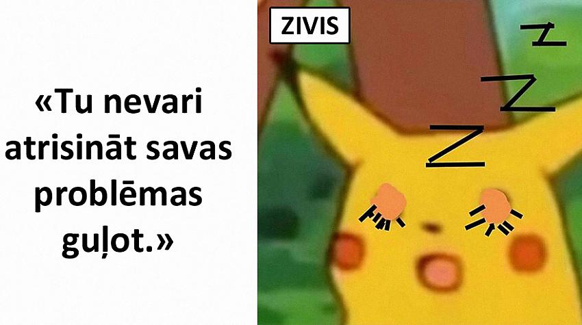 Memes par ZIVĪM