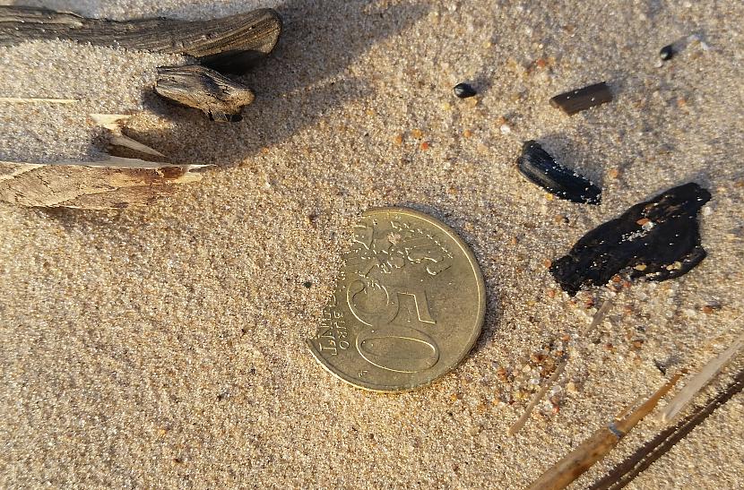50 centi sauļojās Autors: pyrathe Ar metāla detektoru pa pludmali 2019 (marts)