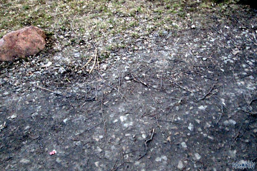 Kāds pelēks akmens malā... Autors: rasiks Pavasara ainiņas
