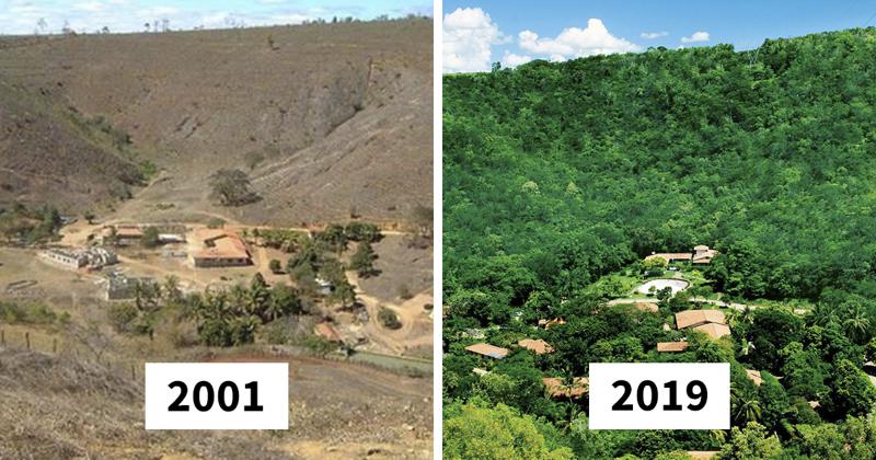  Autors: nikrider Brazīliešu pāris 20 gadu laikā atjaunoja visu mežu