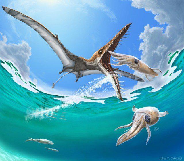 Uzbrukuma rezultāts abiem bija... Autors: nikrider Juras perioda traģēdija. Pterozaurs medīja zivi, bet zivs medīja viņu.