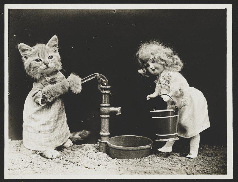 Ūdens pumpēscaronana Autors: Lestets Retro bildes ar kaķiem, kas dara ikdienišķas cilvēku lietas