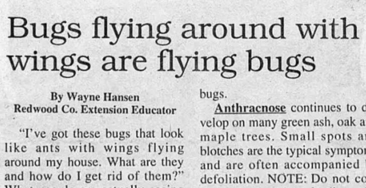 Kukaiņi kas lido apkārt ar... Autors: Lestets 20 stulbākie virsraksti, kas, tu neticēsi, bet patiešām nonāca ziņās