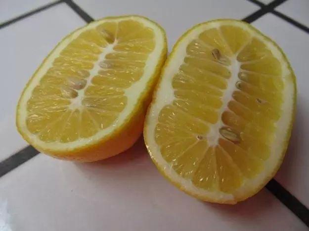 nbspKas ar scarono citronu ir... Autors: matilde 25 reizes, kad māte daba mazliet sajauca augļus ar dārzeņiem