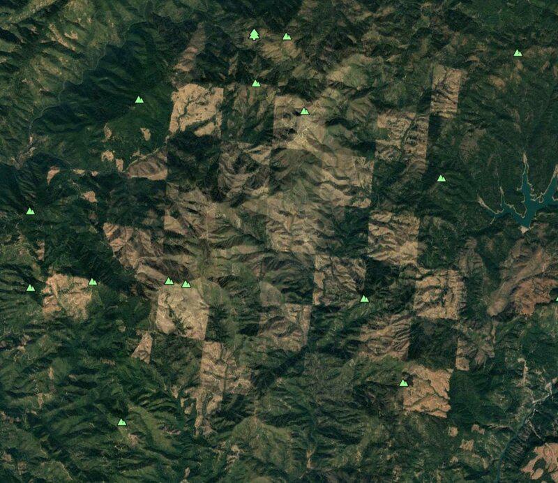 Meži Kalifornijas ziemeļos  Autors: matilde 20 interesantas vietas, kas atrastas ar «Google Earth» palīdzību