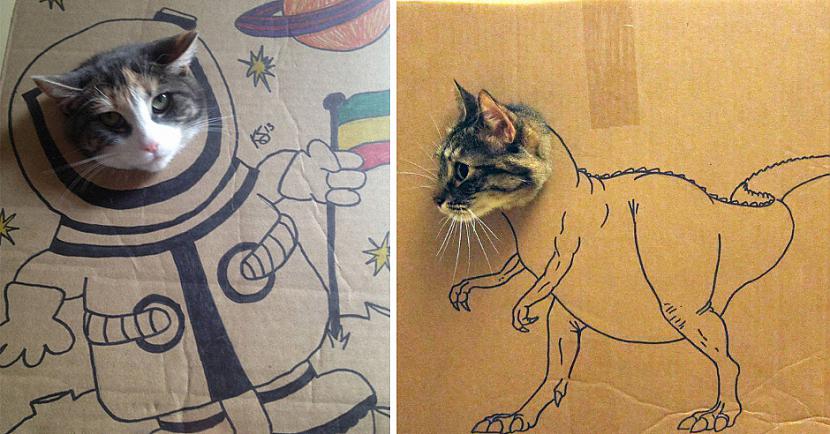 nbspKurscaron mākslas darbs ir... Autors: matilde Galerija: Kartona kaķu māksla