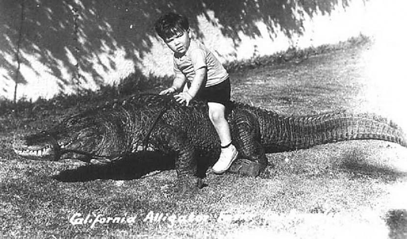  Autors: Lestets Kad bērni spēlējās ar aligatoriem