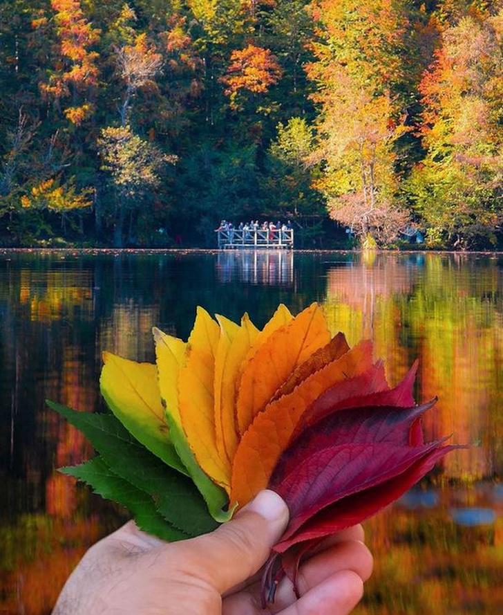 nbspBolu Turcijanbsp Autors: Lestets Kā izskatās rudens apkārt pasaulei?