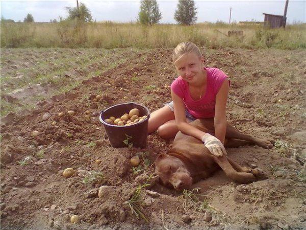  Autors: Fosilija Vīrieši  ir noguruši no pilsētas meitenēm ar pilnām lūpām, viltus skropstām...