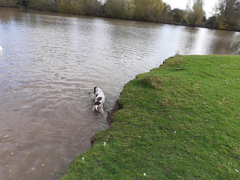 Suns iemetās ūdenī  cerēja... Autors: Griffith Dažādas bildes no Malvernas lauku apkārtnes.