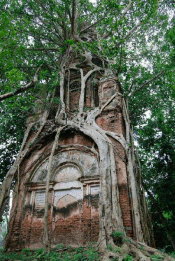  Autors: Fosilija Kad daba uzvarēja cīņā pret civilizāciju... 🌳🌴🍀