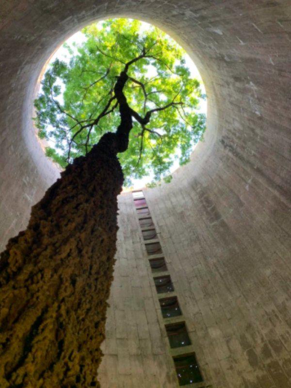  Autors: Fosilija Kad daba uzvarēja cīņā pret civilizāciju... 🌳🌴🍀