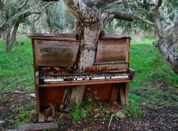  Autors: Fosilija Kad daba uzvarēja cīņā pret civilizāciju... 🌳🌴🍀