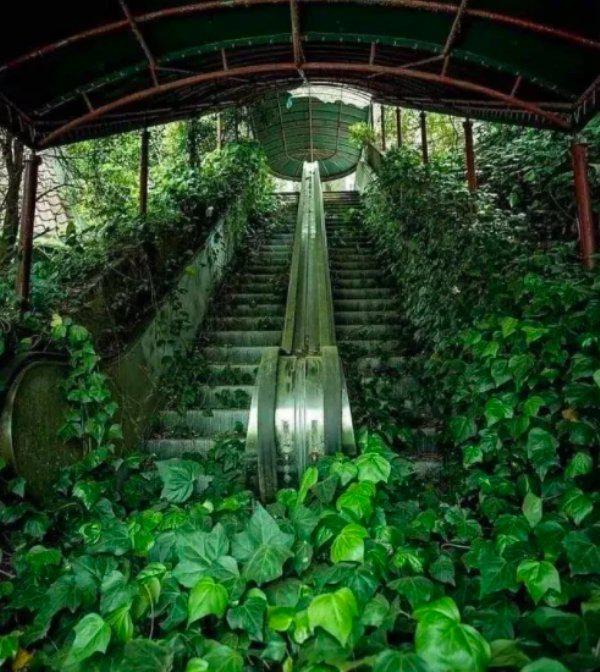  Autors: Fosilija Kad daba uzvarēja cīņā pret civilizāciju... 🌳🌴🍀