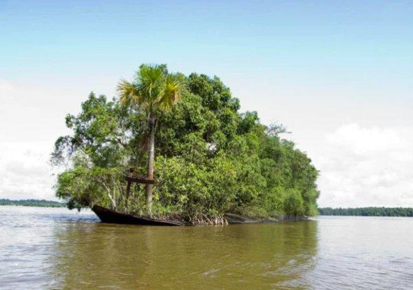  Autors: Fosilija Kad daba uzvarēja cīņā pret civilizāciju... 🌳🌴🍀