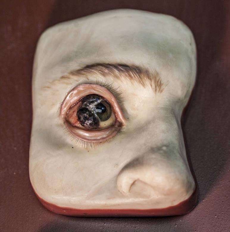 No vaska veidota acs kas... Autors: Fosilija 25 biedējoši muzeju eksponāti
