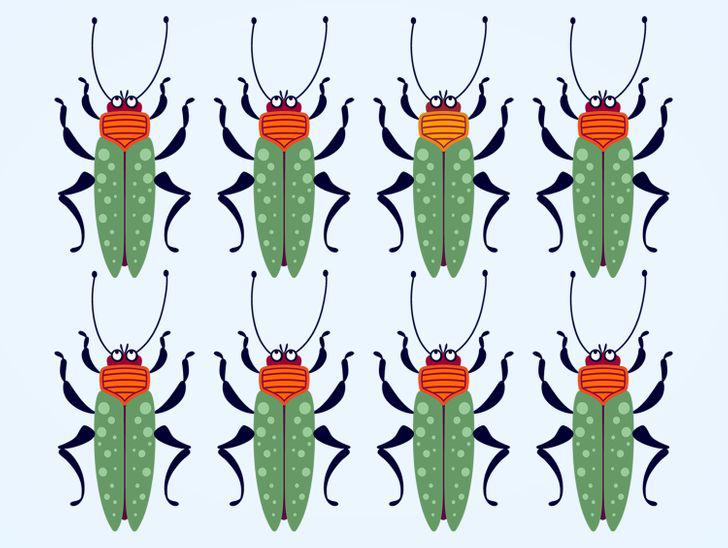 Pareizā atbilde nākamajā... Autors: matilde Uzmanības tests: Vai vari atrast atšķirīgo kukaini 15 attēlos?