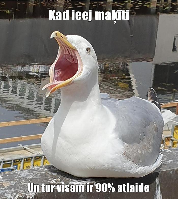  Autors: Susīte mekke Memes