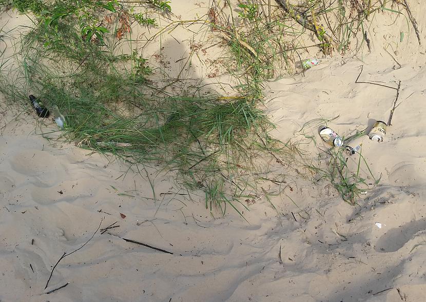Kāpās ieraudziju scaronādu... Autors: pyrathe Ar metāla detektoru pa pludmali 2020 (jūlijs) #2