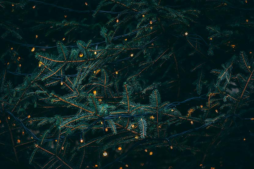 Ziemassvētku naktī zvaigznes... Autors: matilde Sirsnīgi un iedvesmojoši Ziemassvētku pantiņi