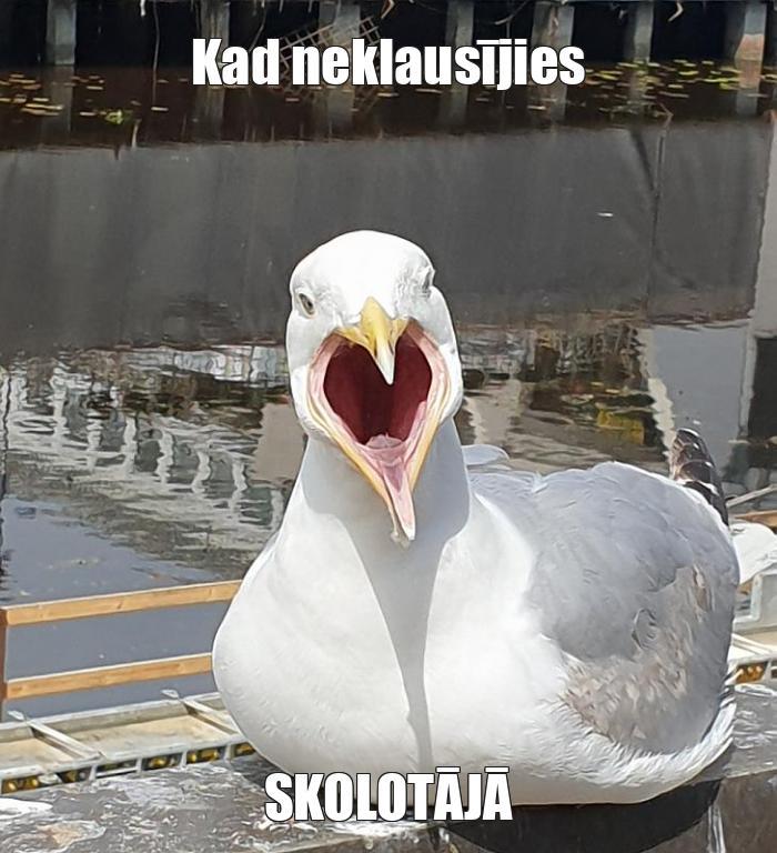  Autors: Ralfs Scaronvāns Memes