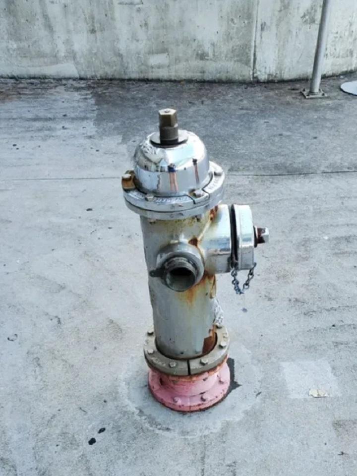 Parasti ugunsdzēsēju hidranti... Autors: Lestets 20 neparastas lietas, ko mēs parasti neieraudzīsim