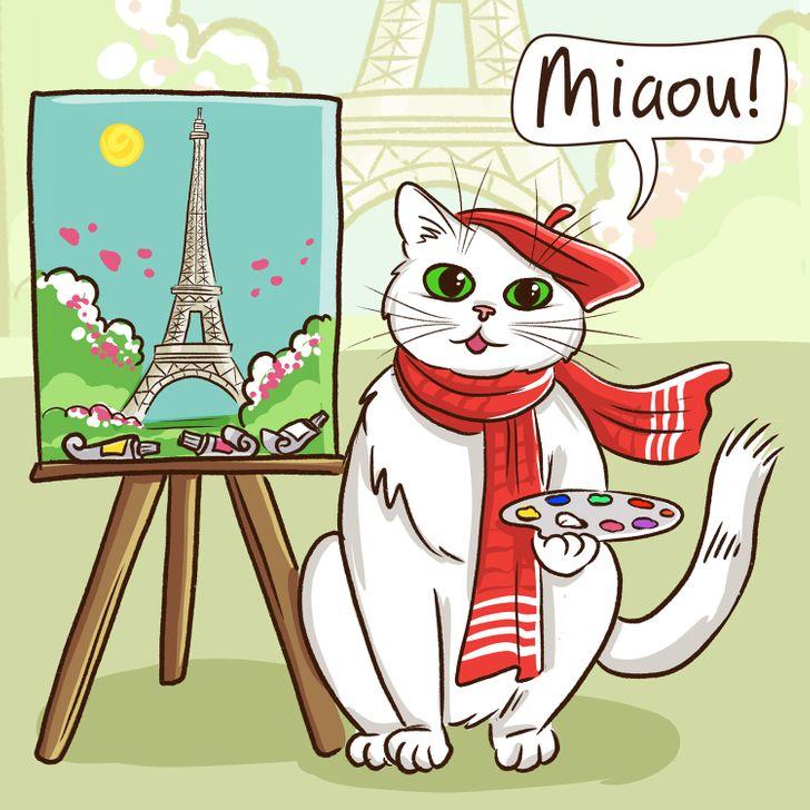 Francija Autors: matilde Lūk, kā 19 dažādās pasaules valstīs ņaud kaķi - visur nav vienādi
