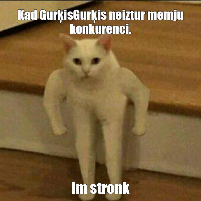  Autors: Latvju Dakijs Memes