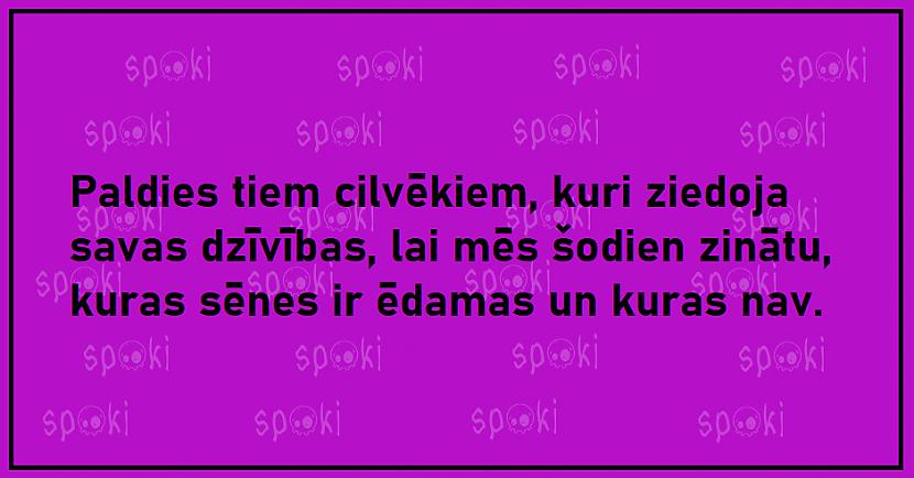  Autors: The Diāna Jociņu izlase garastāvokļa uzlabošanai (20 attēli)