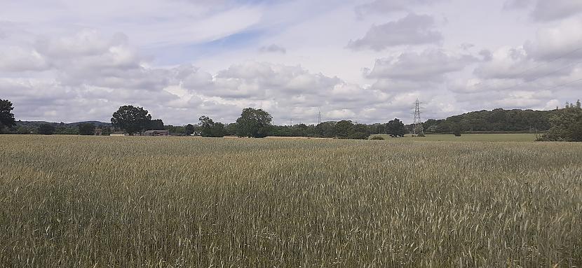  Autors: Griffith Jūlijs laukos, Malvern UK.