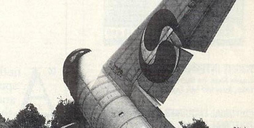 Korean Air reiss 803 1989gada... Autors: Testu vecis Komerciālo lidaparātu katastrofu bildes (Astoņdesmitie) 1986.-1989.g
