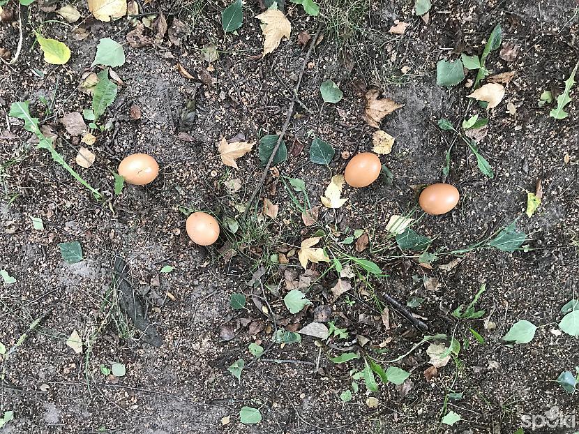 Kāds olas izmētājis kā sēnes... Autors: ezkins Klejojumi, braucieni, iespaidi...