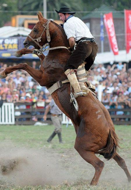 Autors: Zibenzellis69 Spilgti un šokējoši rodeo mirkļi (30 fotoattēli)