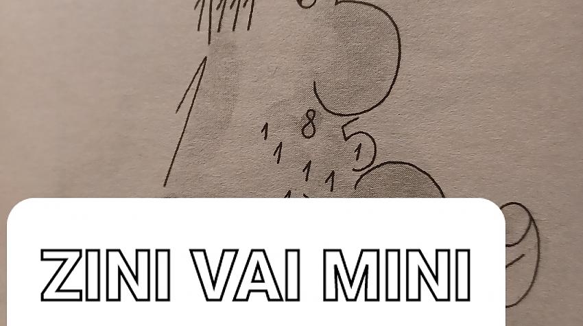 Zini vai Mini!