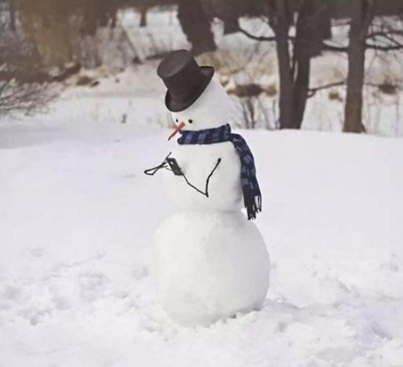Ļoti smalka ironija ndash... Autors: Zibenzellis69 30 sniegavīri, kas vairāk izskatās pēc mākslas darbiem