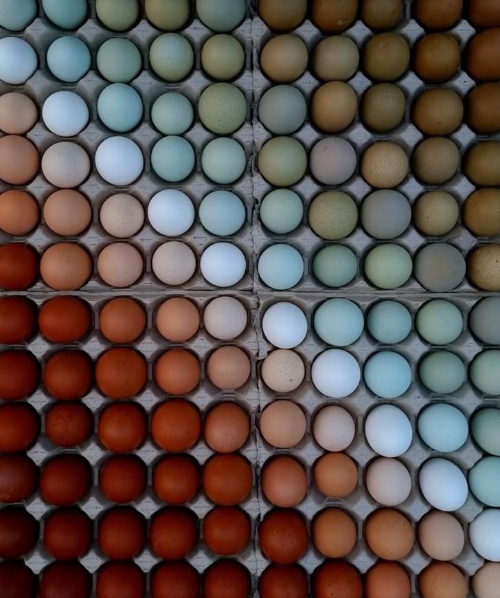 Olas kas ir sakārtotas pēc to... Autors: Lestets Ja gribi zināt, kas ir perfektuma iemiesojums, tad apskaties šos 15 attēlus