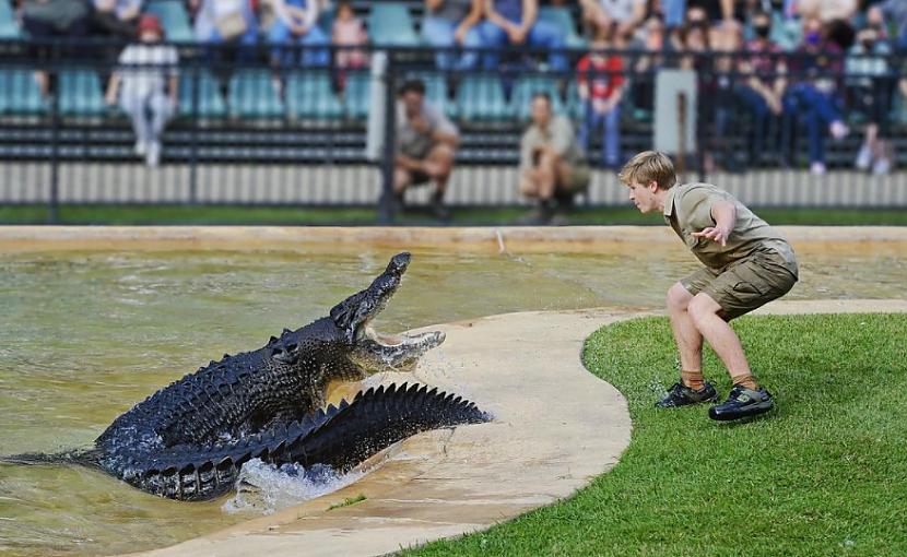 Video redzams kā viņscaron... Autors: matilde VIDEO ⟩ Stīva Ērvina dēlam Austrālijas zoodārzā mēģinājis uzbrukt krokodils